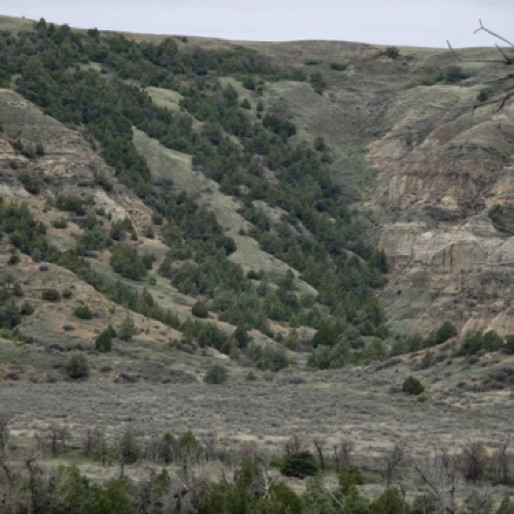 Terrain along Loop road